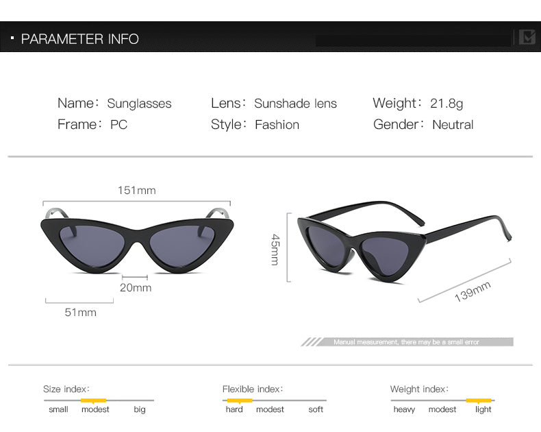 Sexy Cat Eye Sunglasses for Women | Small Triangle Retro Designer Shades