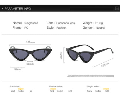 Sexy Cat Eye Sunglasses for Women | Small Triangle Retro Designer Shades